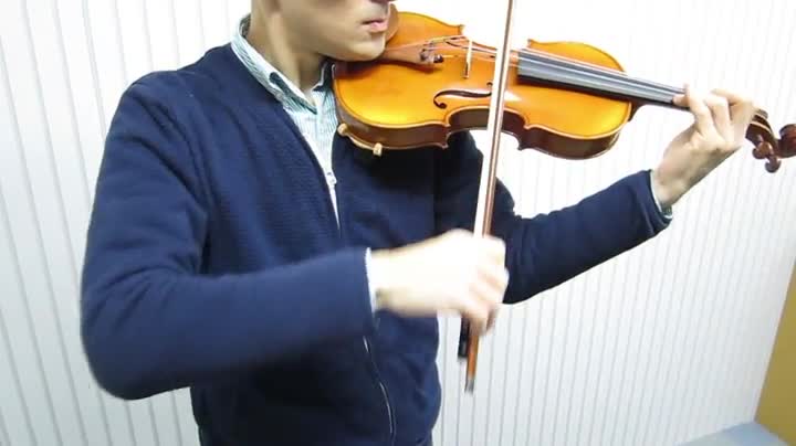 Amazon.co.jp: カルロジョルダーノ バイオリンアウトフィット VS-2 4/4