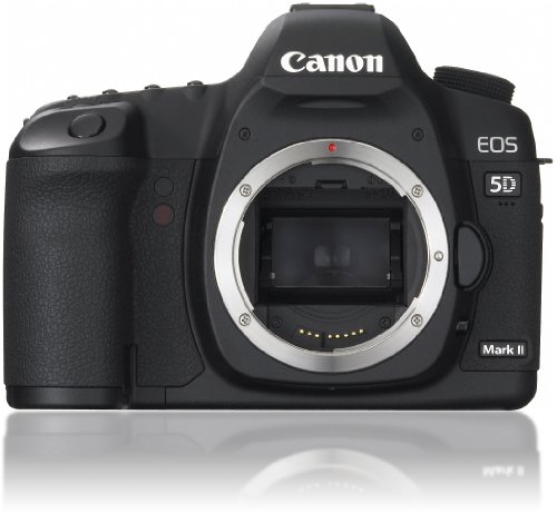 デジタル一眼カメラ canon 5d」の人気商品一覧 | 安い商品を通販サイト