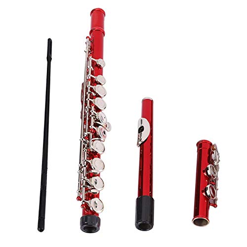Amazon | 16ホールフルート、家庭用屋外学校用フルート学生フルート