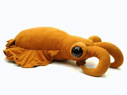 Amazon.co.jp: 古代生物シリーズ アノマロカリス特大ぬいぐるみ 6008