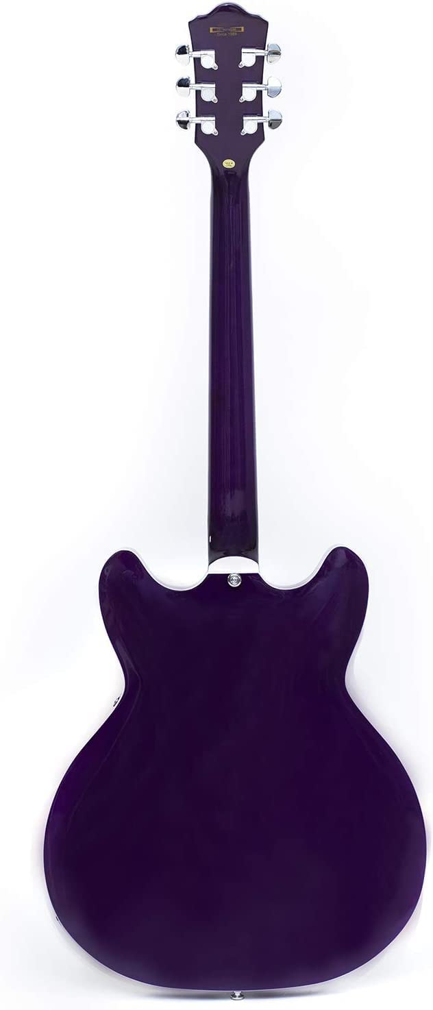 Amazon | 335スタイル・ジャズ・エレキギター、ギグバッグ付、フレイム