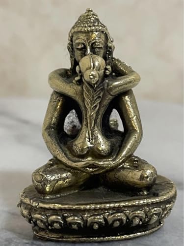 Amazon.co.jp: チベット密教 仏教 シャクティ 歓喜仏 ヤブユム像 秘仏