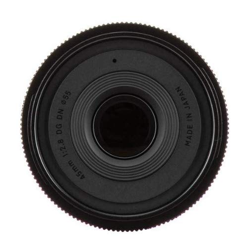Amazon.com : Sigma 45 mm F2.8 DG DN for Sony E : Electronics