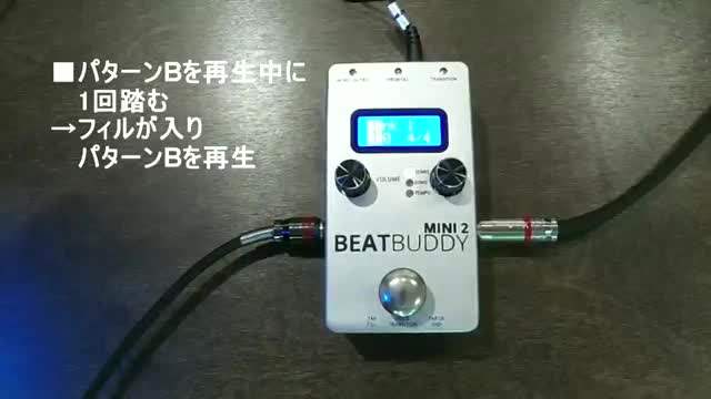 Amazon | SINGULAR SOUND BEATBUDDY MINI 2 BEATBUDDYシリーズ 国内