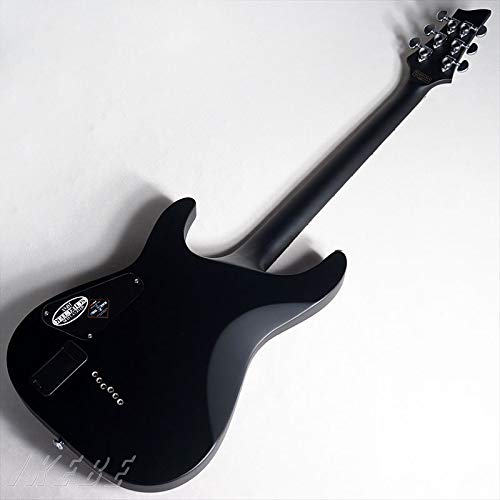Amazon | SCHECTER シェクター エレキギター DAMIEN PLATINUM-6 SBK