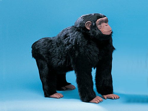 StealStreet SS-F-MKY1761 XX-Large Standing Chimp Monkey Rare