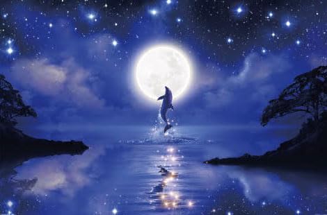 Amazon | やのまん(Yanoman) 【日本製】1000ピース ジグソーパズル