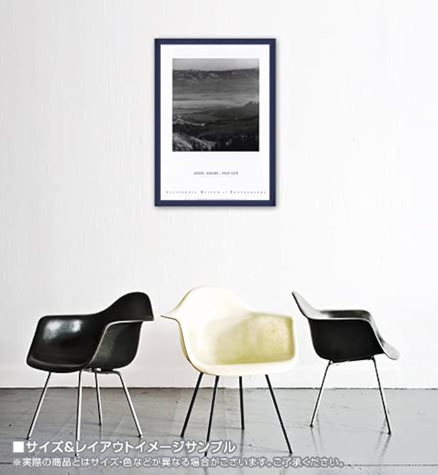 Amazon.co.jp: ポスター アンセル アダムス Desert Valley : ホーム