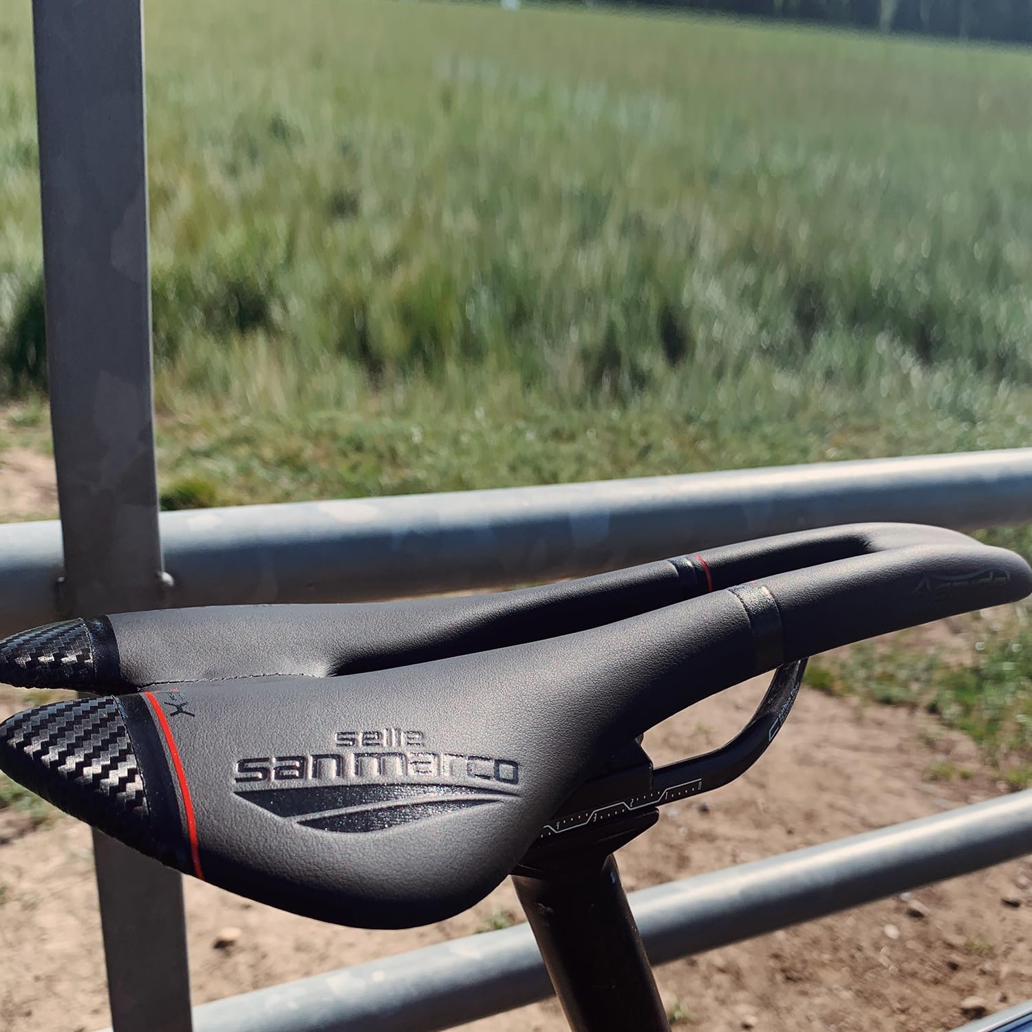 Amazon | セラサンマルコ（SELLE SAN MARCO） 自転車用サドル アスピデ