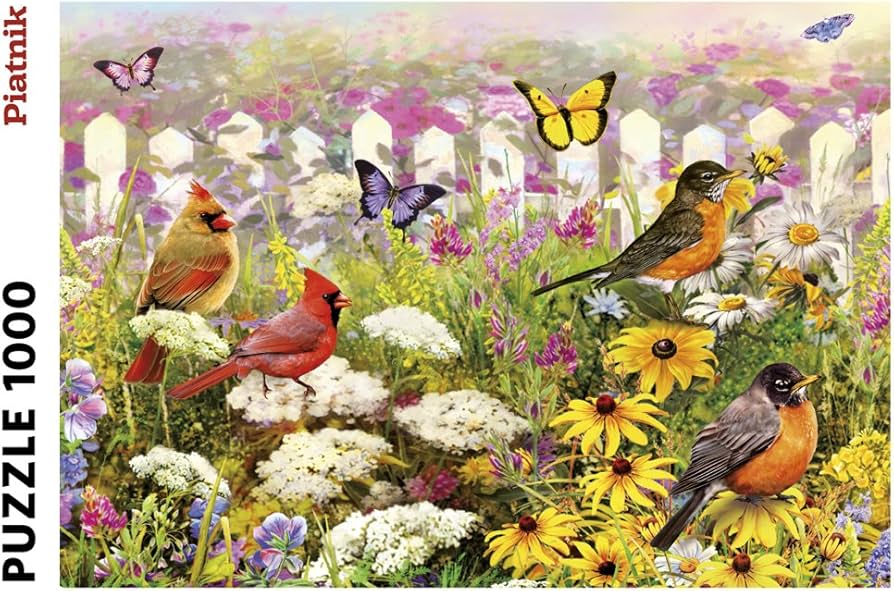 Amazon.co.jp: Piatnik