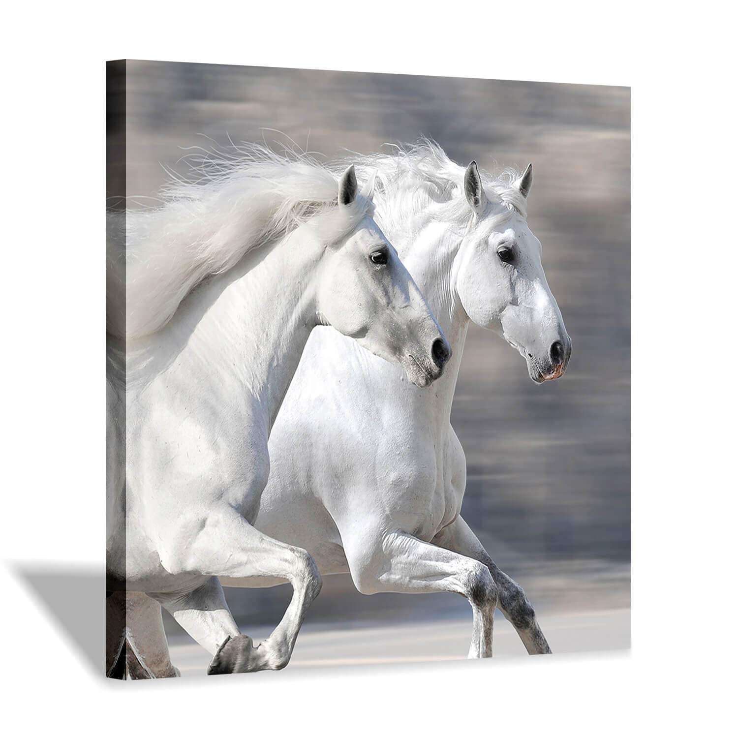 Amazon.co.jp: Hardy Gallery 白馬の絵 ウォールアート 走る動物アート