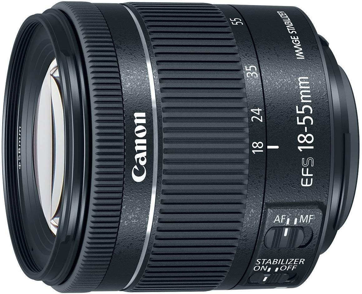 Amazon.com : Canon EF-S 18-55 f/4-5.6 IS STM (Renewed) : Electronics