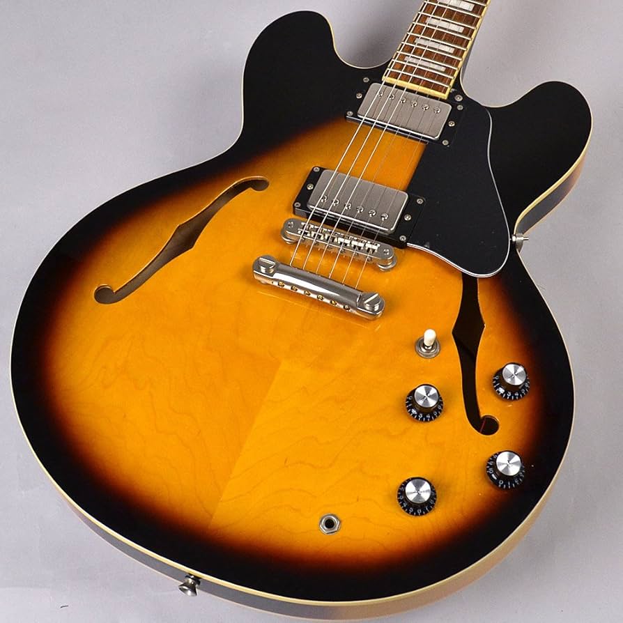 Amazon | Burny SRSA65 BS エレキギター セミアコ ES-335タイプ ホロウ