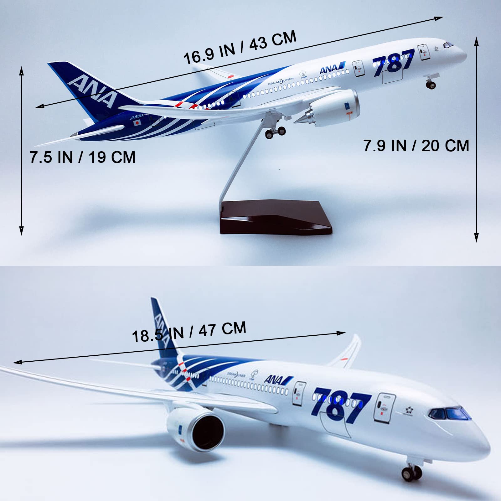 Amazon.co.jp: AZIZAT 16.9”1：130スケール模型飛行機ANA B 787模型