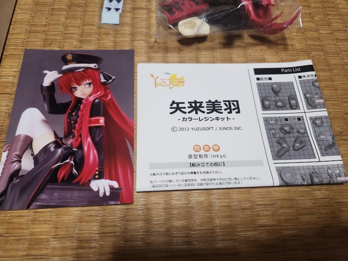 Amazon.co.jp: DRACU-RIOT 矢来美羽 カラーレジンキット 奇楽亭 inkyo