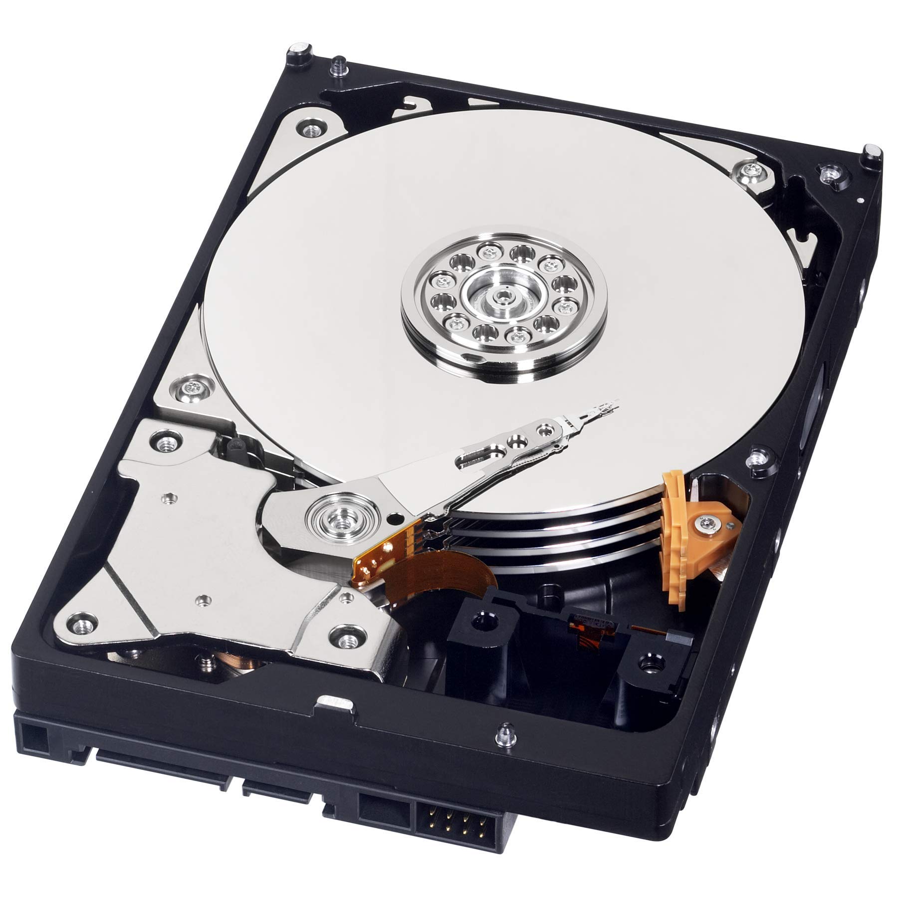 Amazon.com: WD Internal Hard Disk 3.5in 6TB WD Blue WD60EZAZ SATA