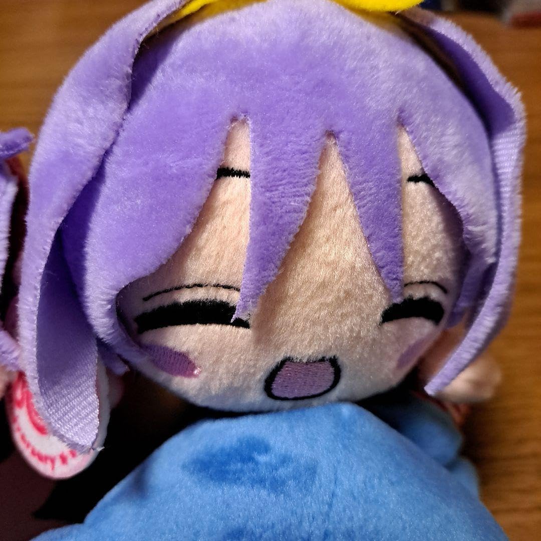 Amazon.co.jp: らき☆すた TVアニメ10周年記念 寝そべりぬいぐるみ