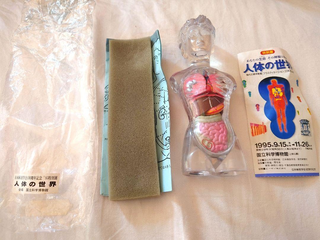 Amazon.co.jp: 人体の世界 人体解剖模型 ジョシアン・ミニ 半券付き
