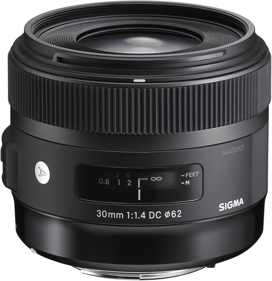 Amazon.com : Sigma 30mm F1.4 Art DC HSM Lens for Canon : Digital