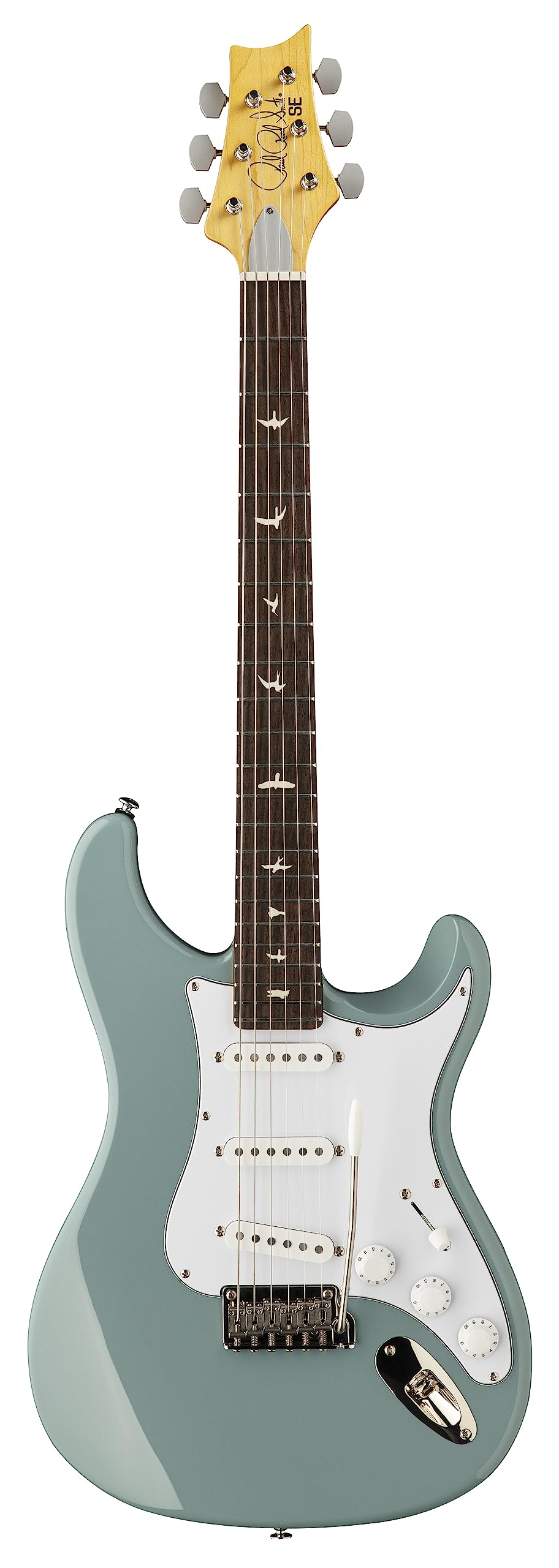 Amazon.com: PRS Paul Reed Smith 6 String SE Silver Sky Stone, Blue