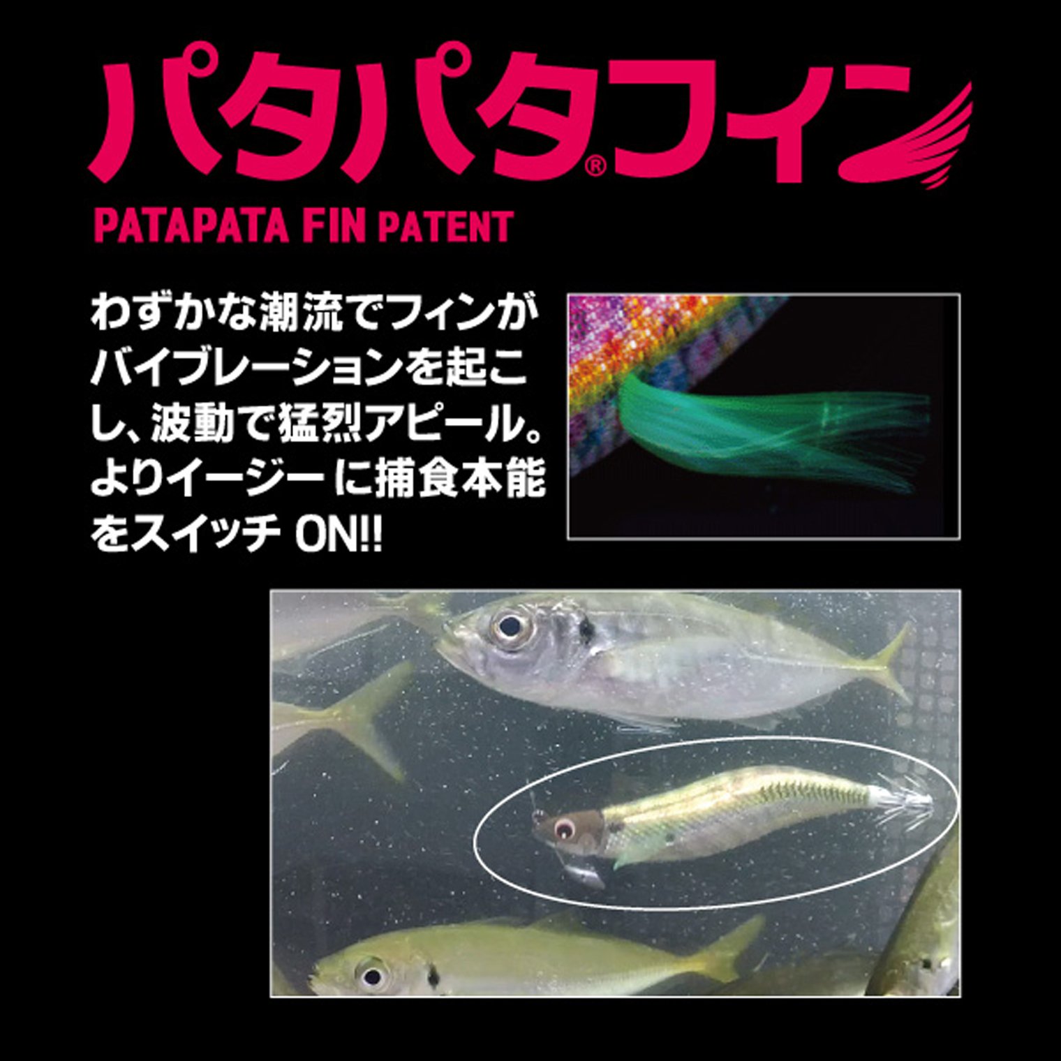 Amazon | DUEL(デュエル) A1699-DMP EZ-Q マグキャスト 2.5号 #ドット