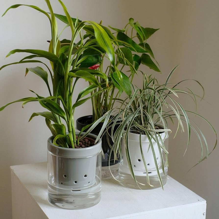 Amazon.co.jp: 根っこさん+つつ型 (ホワイト, Mサイズ) : DIY・工具