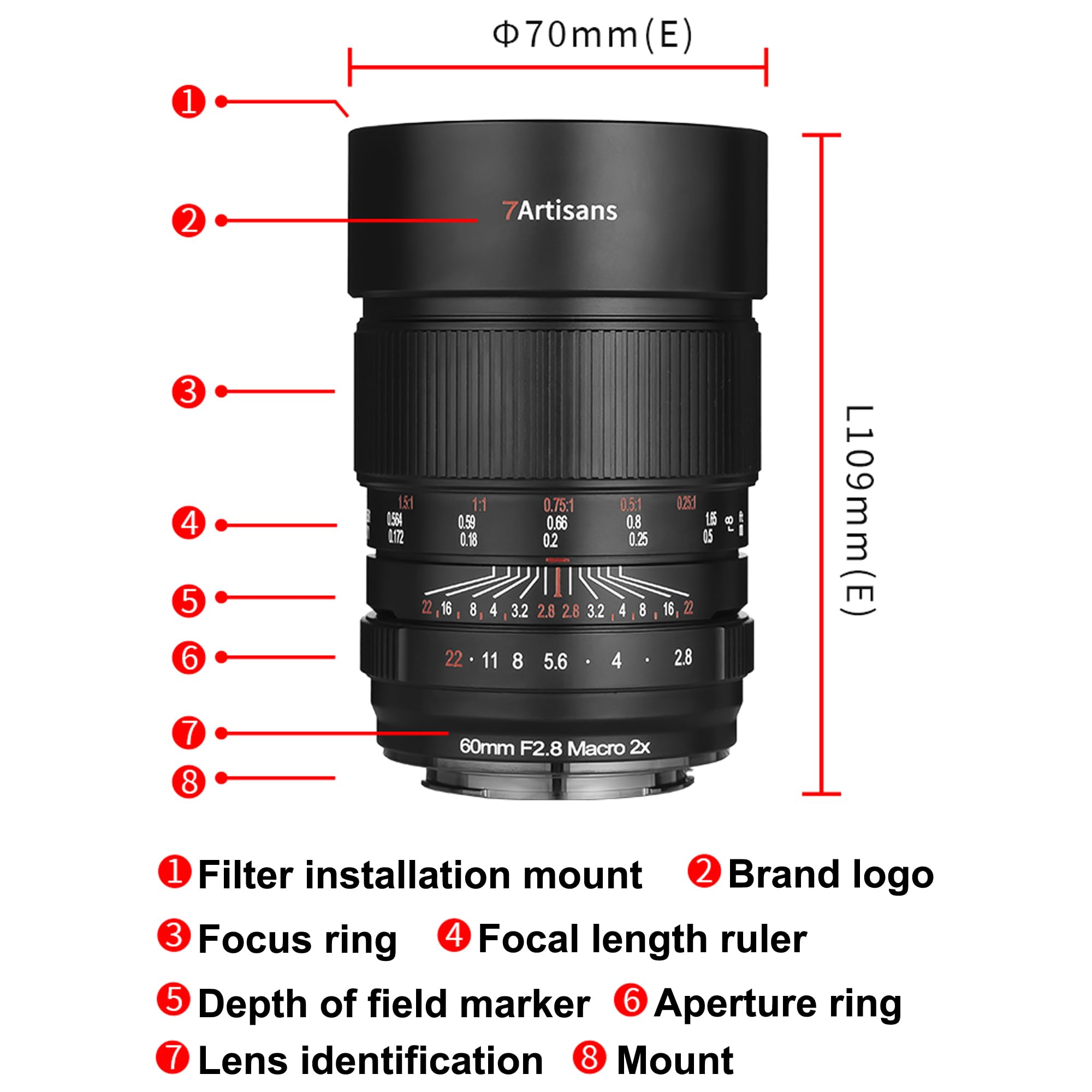 Amazon.com : 7artisans 60mm F2.8 Macro 2X Lens for Sony E Mount,2