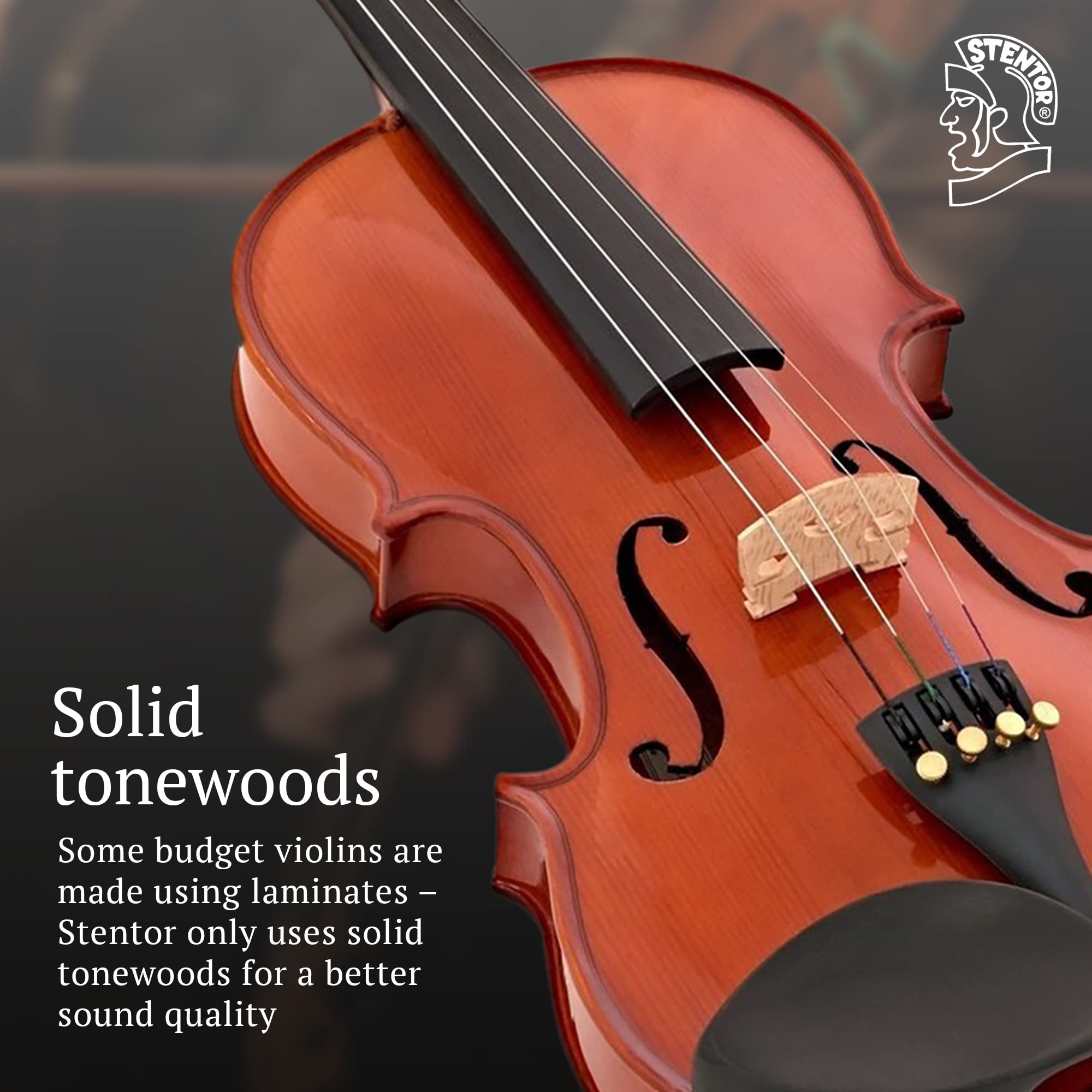 Amazon.com: STENTOR Violin, 右用, Braun, 4/4 (1018A) : Musical