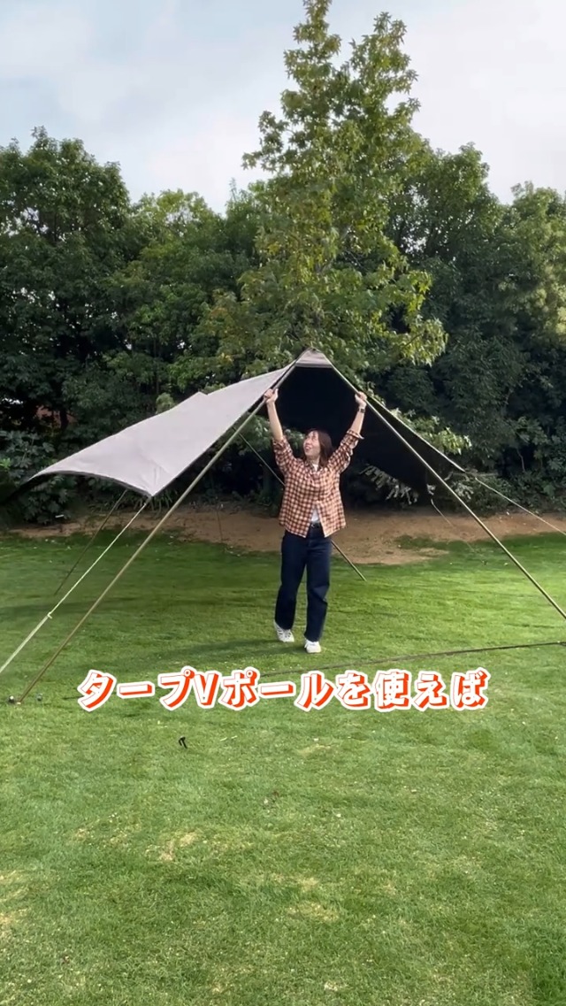 Amazon | ロゴス(LOGOS) タープVポール 71909015 | ロゴス(LOGOS) | ポール