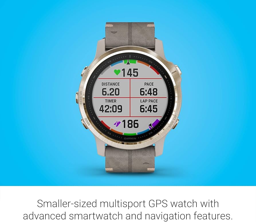 Amazon.com: Garmin Fenix 6S Sapphire, Premium Multisport GPS Watch