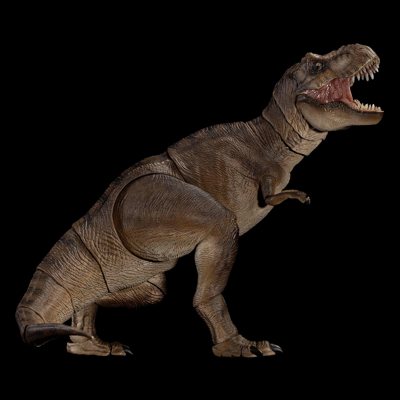 Amazon.co.jp: Nanmu 本心楠改 ティラノサウルス3.0 恐竜 フィギュア