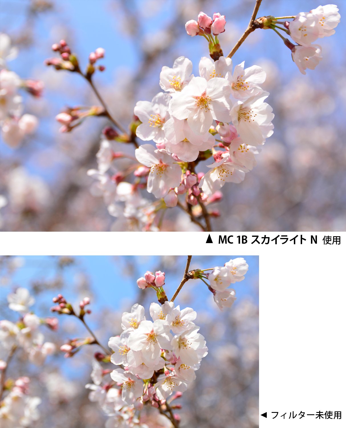 Amazon.co.jp: Kenko レンズフィルター MC 1Bスカイライト N 62mm