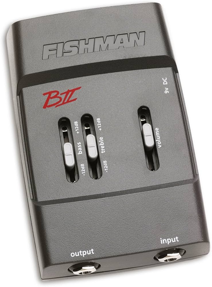 Amazon.com: Fishman B-II Acoustic Instrument Preamp : Musical