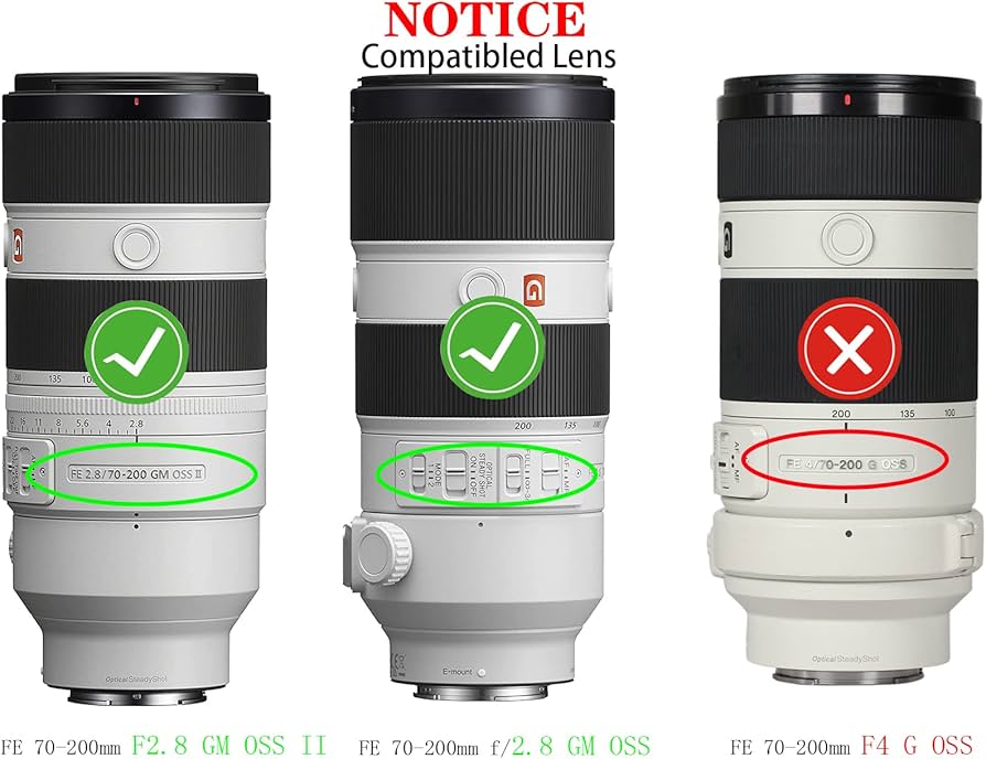 Amazon.com : 77mm Lens Cap Cover Compatible with Sony FE 24-105mm