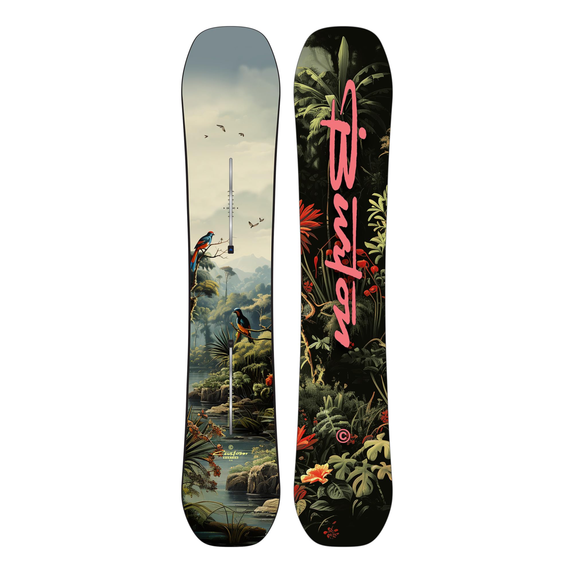Amazon.com : Men's Burton Custom Camber Snowboard, 156cm, Jungle