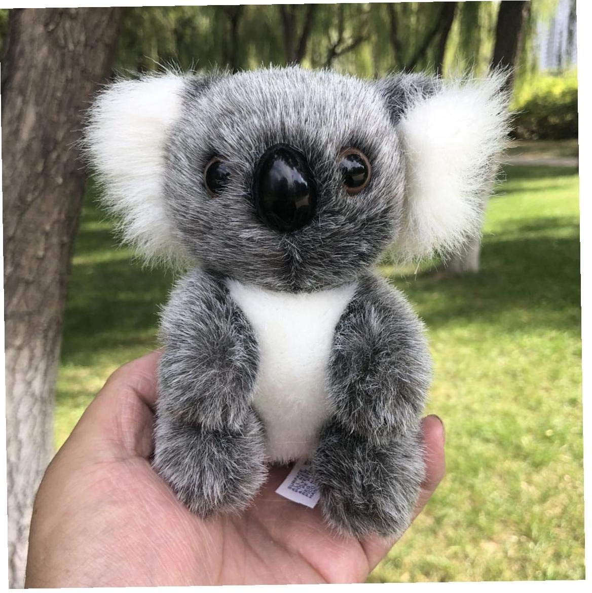 Amazon.co.jp: コアラぬいぐるみ オーストラリアコアラぬいぐるみ