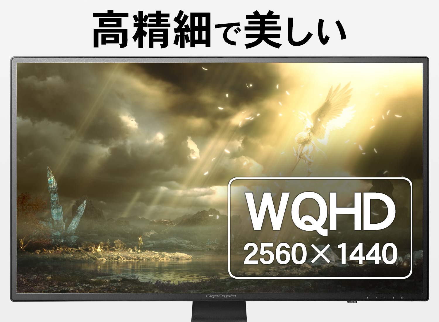 Amazon.co.jp: I-O DATA WQHD Gaming Monitor : Computers
