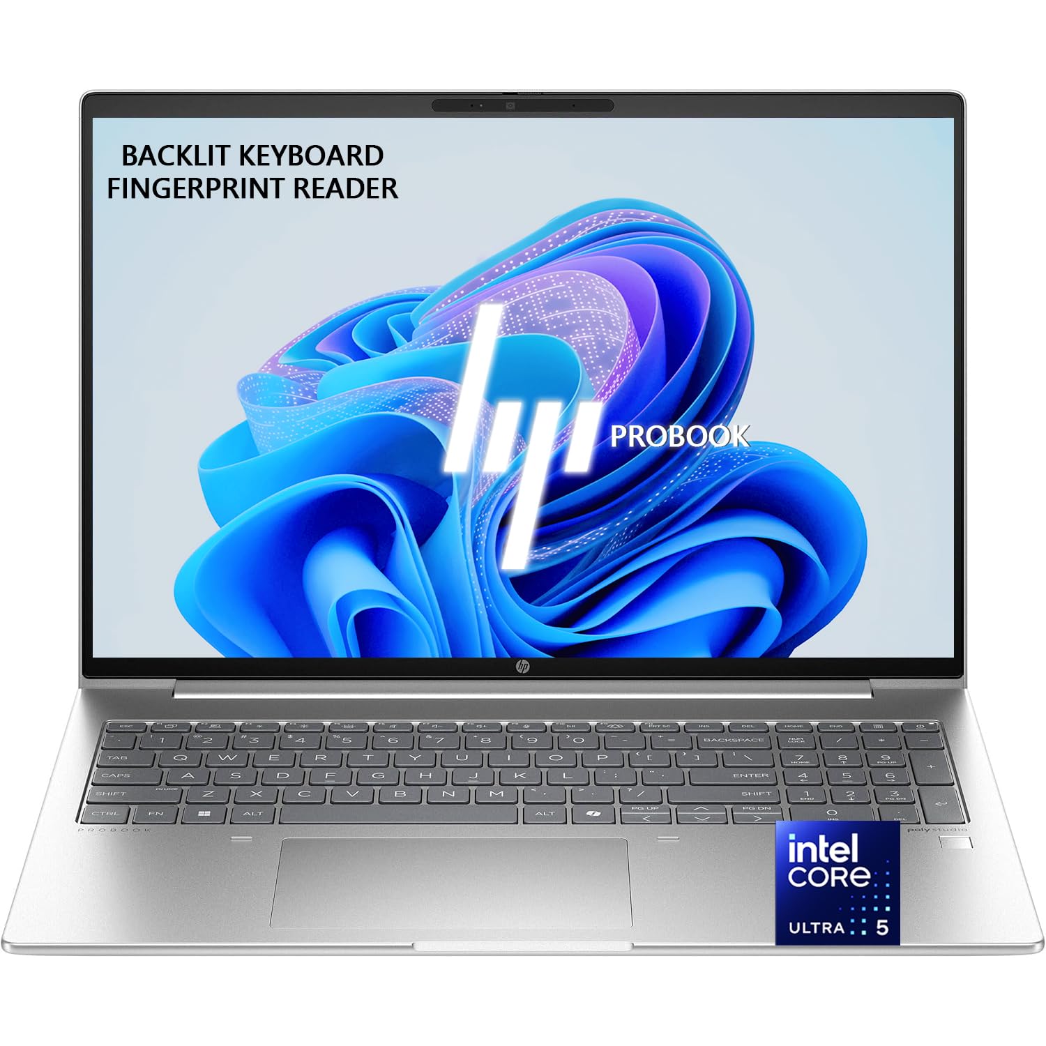 Amazon.com: HP ProBook 460 G11 16
