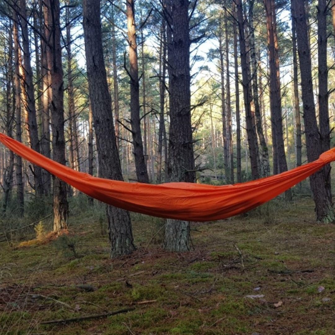 Amazon.co.jp: 【BUSHMEN Travel Gear】 【ブッシュメン トラベル ギア