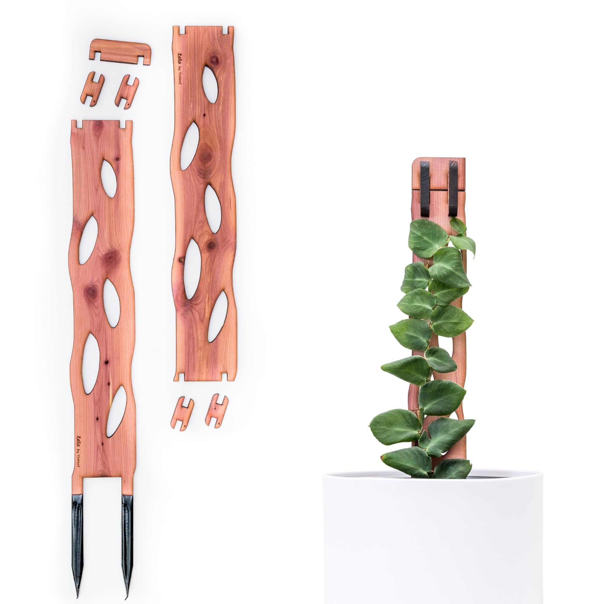 Amazon.com: Treleaf Zella Regular Starter Kit – Wooden Extendable