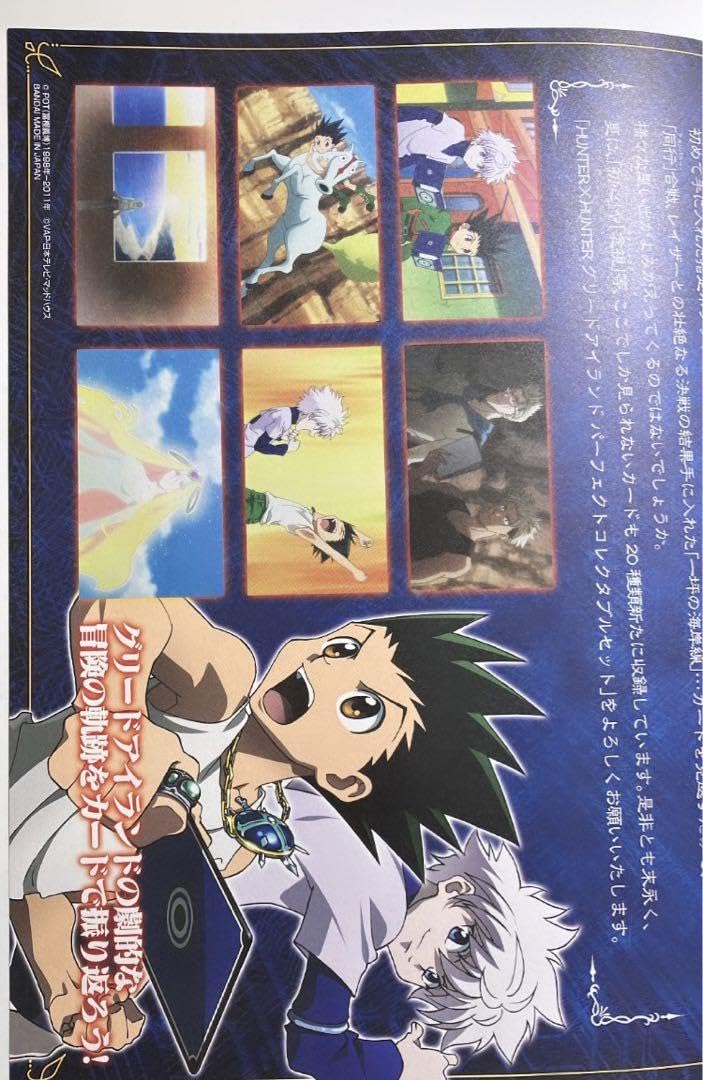 Amazon.co.jp: HUNTER×HUNTER グリードアイランド 指定ポケットカード