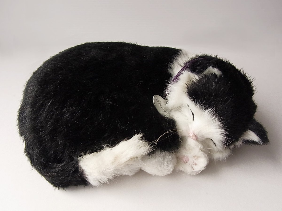 Amazon.co.jp: ニニアンドキノ パーフェクトペット (小サイズ) 白黒猫