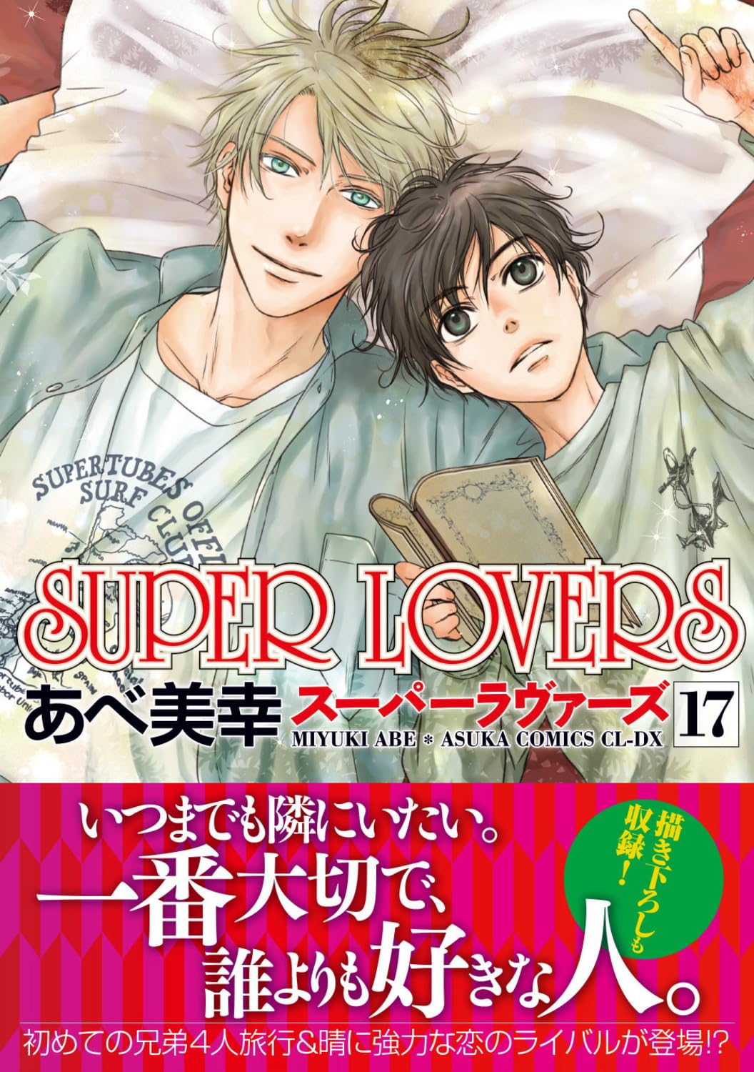 Amazon.co.jp: SUPER LOVERS 第17巻 (あすかコミックスCL-DX) : あべ