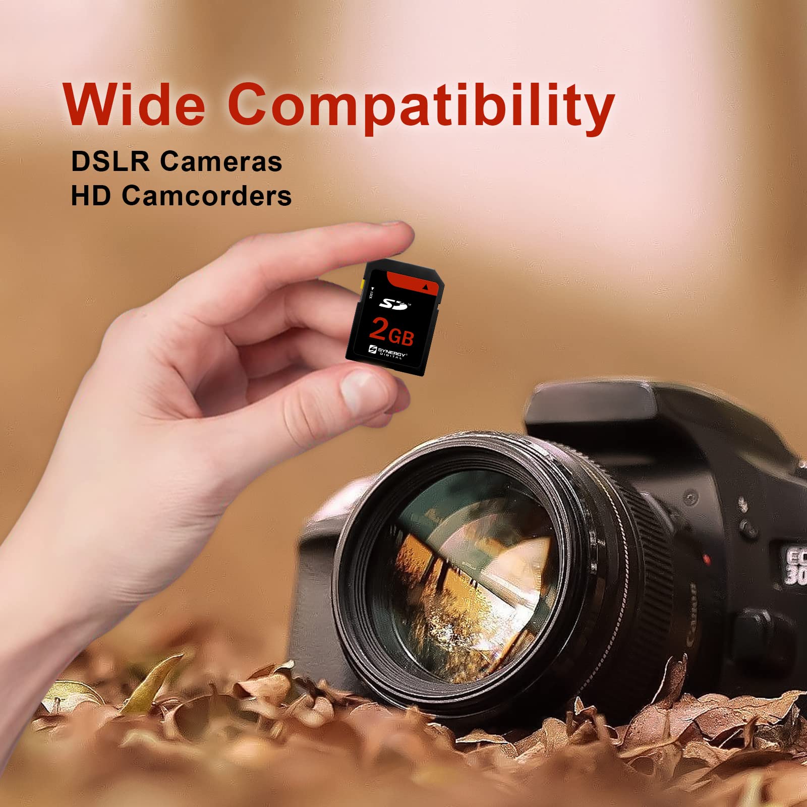 Amazon | Canon PowerShot sd500デジタルカメラメモリカード2 GB標準