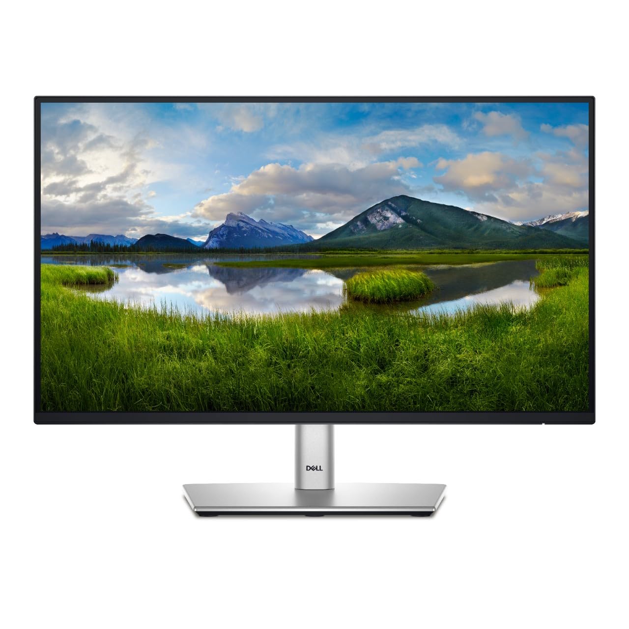 Amazon.com: Dell 24 Monitor - P2422H - Full HD 1080p, IPS