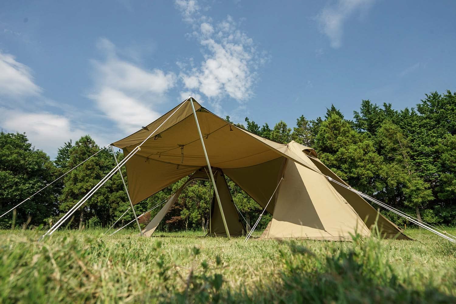 Amazon | ogawa(オガワ) アウトドア キャンプ テント シェルター