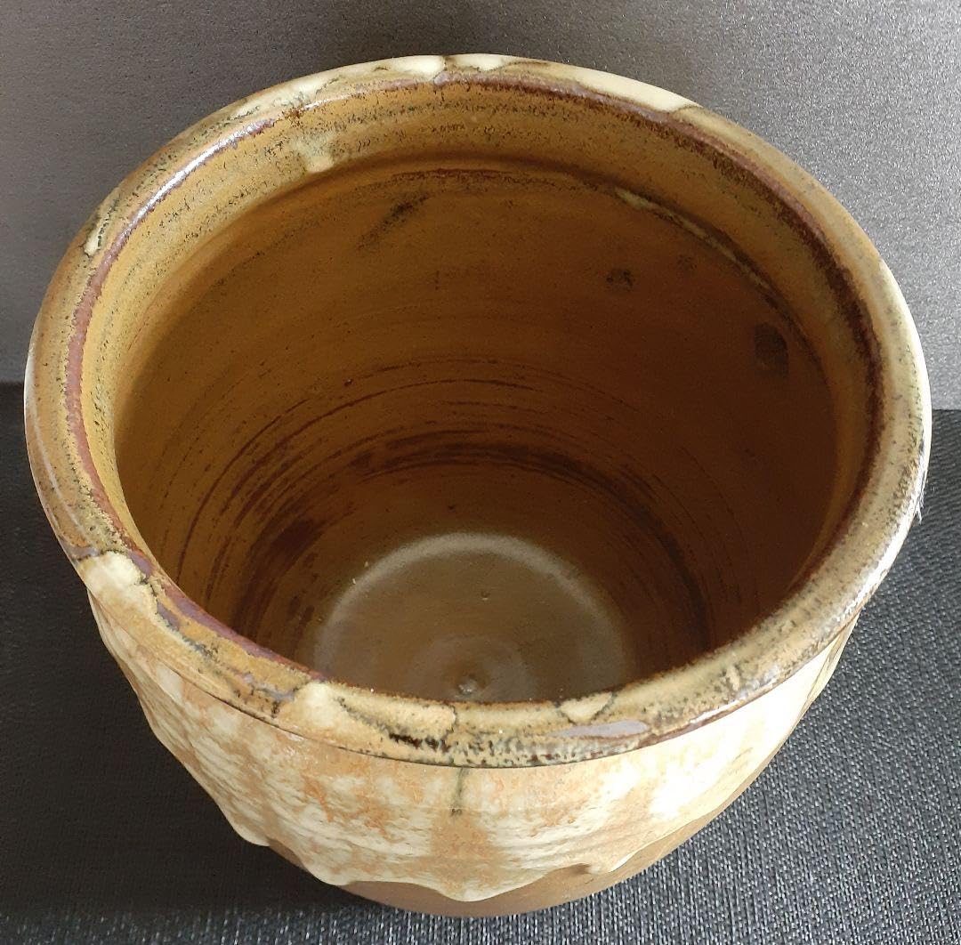 Amazon.co.jp: 国指定伝統工芸品熊本県小袋焼藁灰釉 黄釉 花入れ 水草