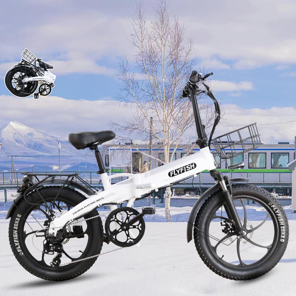 Amazon | 2024年新型 型式認定 FLYFISH 電動アシスト自転車 20インチ
