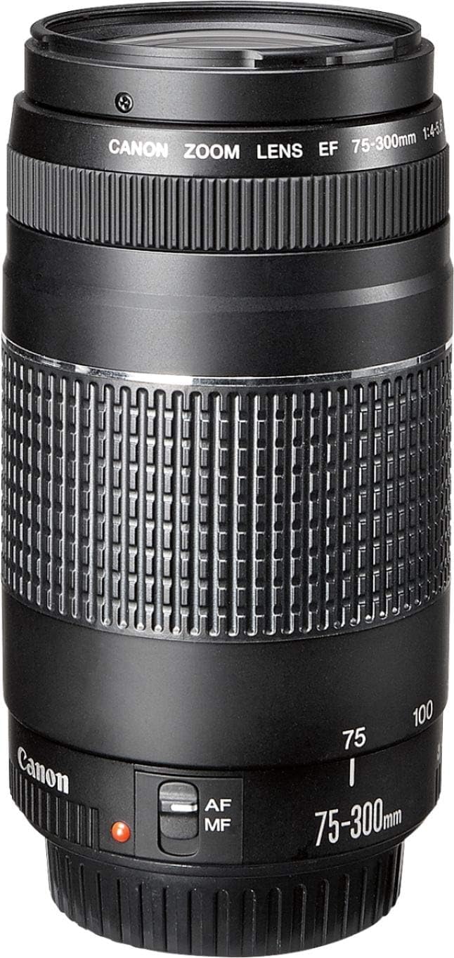 Amazon.com : Canon Ef 75-300mm F/4-5.6 III Telephoto Zoom Lens for