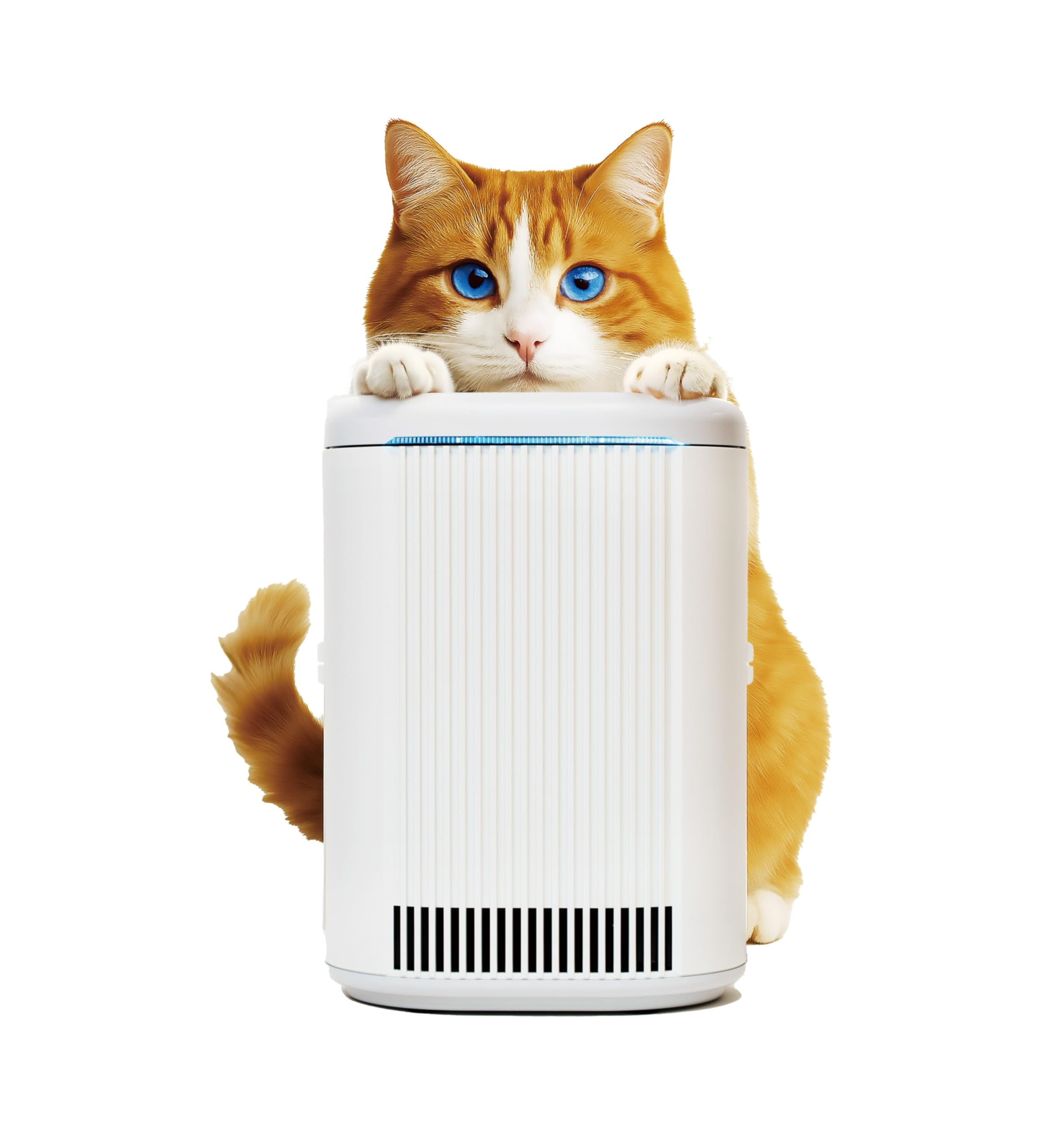 Amazon.co.jp: 脱臭除菌機 ブルーデオS にゃんこモデル ねこ想いの脱臭